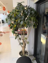 -魔型社烫染店