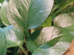 -湘聚唐缘正宗湖南湘菜(盈坤世纪店)