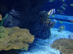 -多彩贵州城极地海洋世界