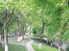 -孝子祠公园