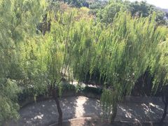 -苏州吴宫泛太平洋酒店
