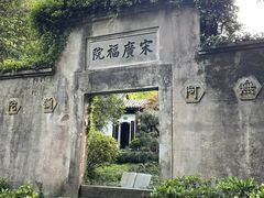 -十八棵（老龙井）御茶园(老龙井店)