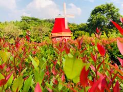-东莞植物园