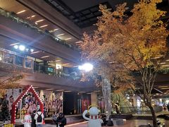 -瑞虹新天地月亮湾