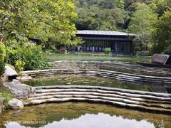 -云溪植物园
