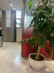 -云南吴氏嘉美医疗美容医院