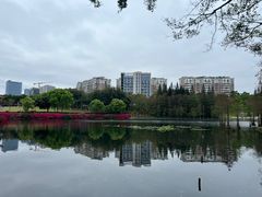-深圳龙潭公园