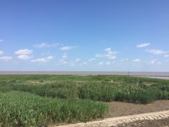 -南汇嘴观海公园