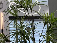 -西语·炭烧牛排(卓越中寰店)