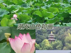 -鼎湖山风景区