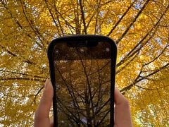 -宽坐·友谊宾馆店