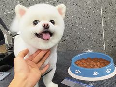 -宠物家(大兴旧宫店)