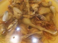 -优护优家Ucare月嫂育儿嫂陪伴师(静安店)