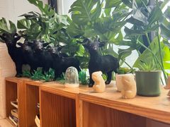 -贵凤凰贵州米粉(望京店)