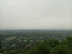 -上海佘山国家森林公园西佘山园