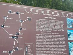 -大岭沟猕猴桃谷风景区