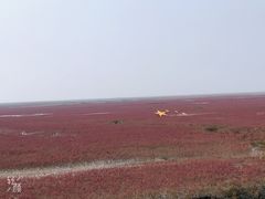 -盘锦红海温泉乐园