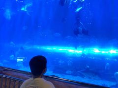 -华夏文旅海洋公园