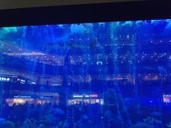 -成都浩海立方海洋公园