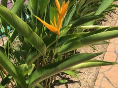 -东姑阿都拉曼海洋公园