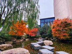 -上海崇明金茂凯悦酒店