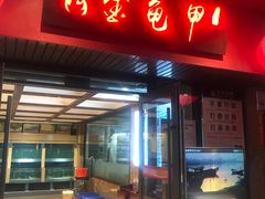 -火焰金龟甲(汉阳江滩旗舰店)