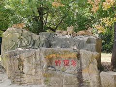 -常州淹城野生动物世界