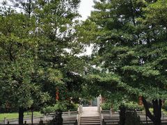 -三水森林公园