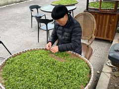-阿巧茶庄