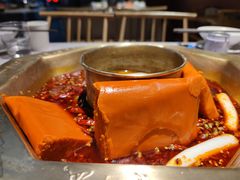 -蜀九香火锅(玉林店)