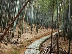 -达蓬山旅游度假区
