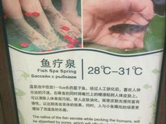 -三亚珠江南田温泉度假区