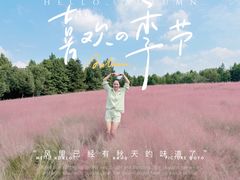 -同里国家湿地公园