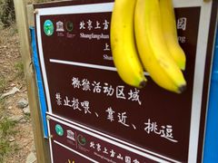 -北京上方山国家森林公园