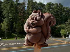 -五营红松林海景区