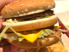 -麦当劳(新洲南路店)