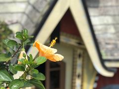 -疯狂屋