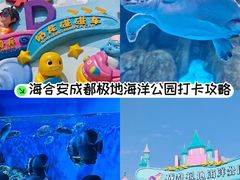 -海合安成都极地海洋公园