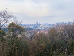 -吴山景区