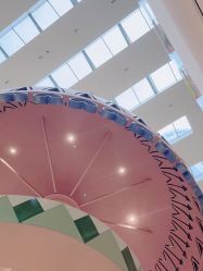 -超级奈尔宝SUPER NEOBIO(杭州星光店)