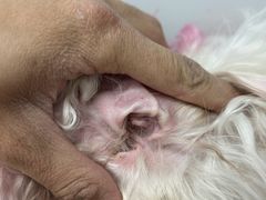 -comecome来吧宠物(奥克斯中心店)