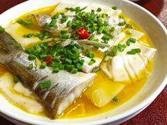 太湖白水鱼-元泰酒店