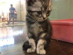 -乐宠宠物店(世纪金源店)