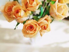 -DQ·蛋糕·冰淇淋(民勇嘉泰店)