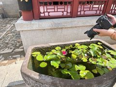 -牟氏庄园