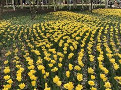 -长春公园(普阳街道)