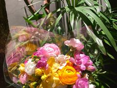 -森SPA·泰式按摩·精油Massage(宝安中心店)