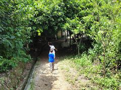 -羚羊峡古栈道森林公园