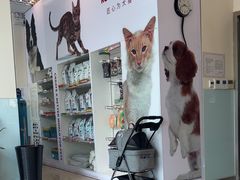 -瑞派申生动物医院·24H夜诊·国际动物医疗中心·骨外科(吴中路店)