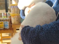 -熊小胖宠物生活馆(天华园店)